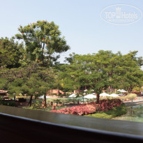 фото из отзыва ID 1553003