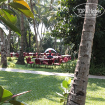 фото из отзыва ID 1553026