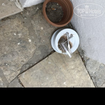 фото из отзыва ID 1553190