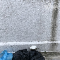 фото из отзыва ID 1553190