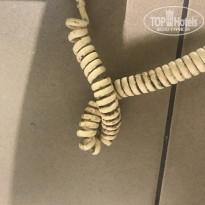 фото из отзыва ID 1553190