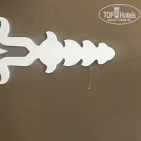 фото из отзыва ID 1553190