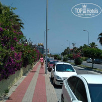 фото из отзыва ID 1553205