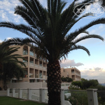 фото из отзыва ID 1553248