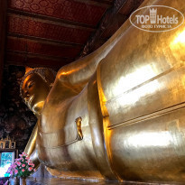 фото из отзыва ID 1553388