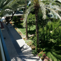 фото из отзыва ID 1553457