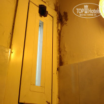 фото из отзыва ID 1553587