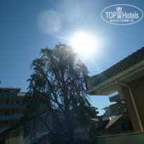 фото из отзыва ID 1553587