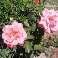 фото из отзыва ID 1553636