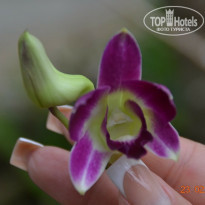 фото из отзыва ID 1553631