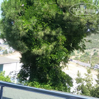 фото из отзыва ID 1553763