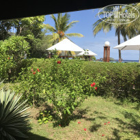 фото из отзыва ID 1553780