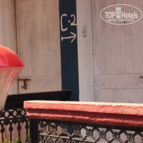 фото из отзыва ID 1553832