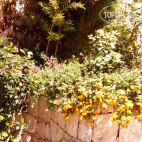 фото из отзыва ID 1553864