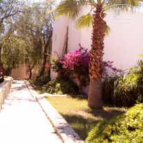 фото из отзыва ID 1553864