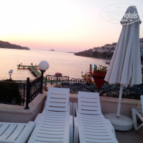 фото из отзыва ID 1553864