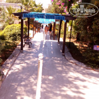 фото из отзыва ID 1553864