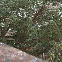 фото из отзыва ID 1553881