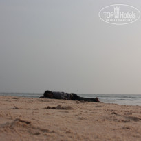 фото из отзыва ID 1553881