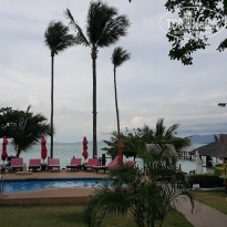 фото из отзыва ID 1553911