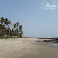 фото из отзыва ID 1553919