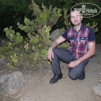 фото из отзыва ID 1554078