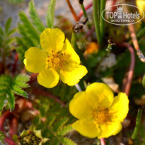 фото из отзыва ID 1554183