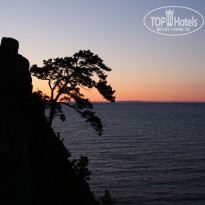 фото из отзыва ID 1554183