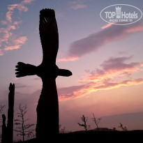 фото из отзыва ID 1554183