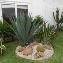 фото из отзыва ID 1554281