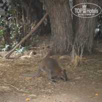 фото из отзыва ID 1554281