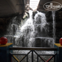 фото из отзыва ID 1554281