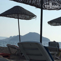 фото из отзыва ID 1554413