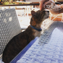 фото из отзыва ID 1554444