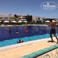 фото из отзыва ID 1554519