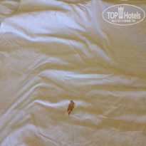 фото из отзыва ID 1554719