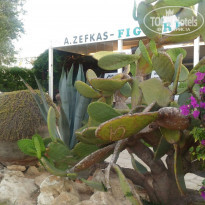 фото из отзыва ID 1554815