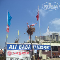 фото из отзыва ID 1554847