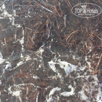 фото из отзыва ID 1554849