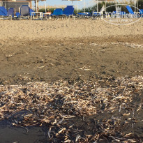 фото из отзыва ID 1554849