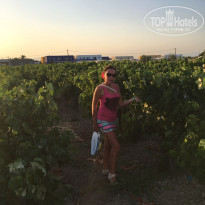 фото из отзыва ID 1554903