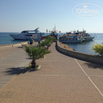 фото из отзыва ID 1554991