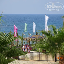 фото из отзыва ID 1555096