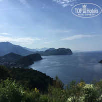 фото из отзыва ID 1555120