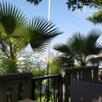 фото из отзыва ID 1555172