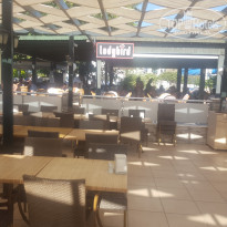 фото из отзыва ID 1555172