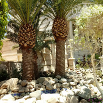 фото из отзыва ID 1555182