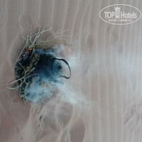 фото из отзыва ID 1555182