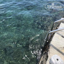 фото из отзыва ID 1555321