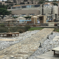 фото из отзыва ID 1555370